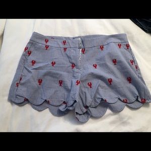 Pinstripe embroidered shorts